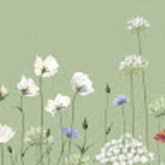 Meet your Posher, Sophia - Picture 1 of 1